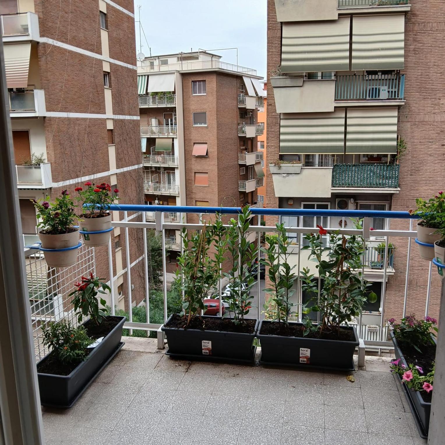 Apartment Grand Nomentana Rom